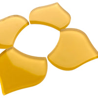 Large Fischcale Corn