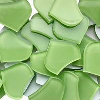 Medium Fischcale Fresh Green