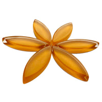 Medium Blütenblätter Mandarine