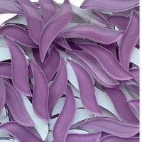 Golvende Bloemblaadjes Orchidee