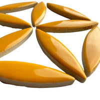 Mosaiksteinen Ellipse Curry