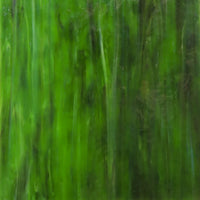 Glasplaat Woudgroen Textuur