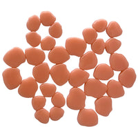 Sakura Bloesem Abrikoos