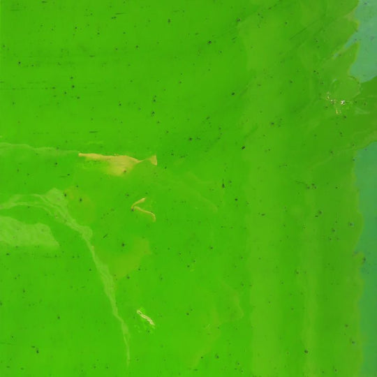 Glass Plate Deep Lime