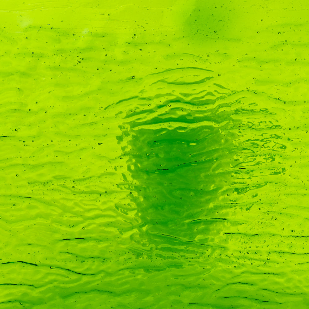 Packshot Glass Plate– green – 15cmX19cm