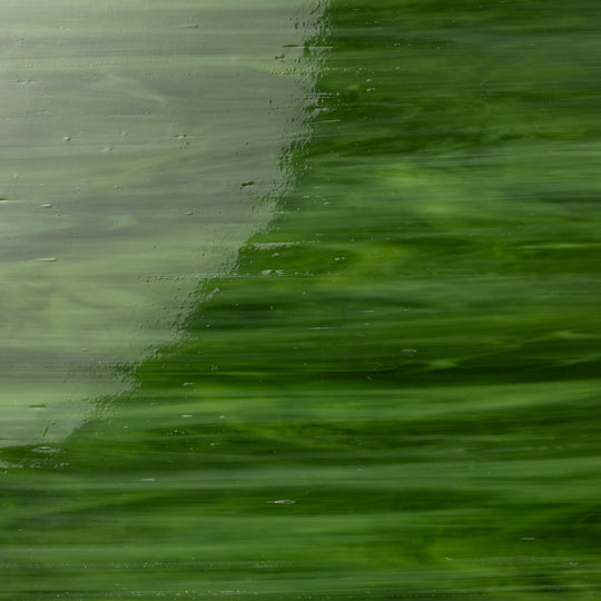 Glasplaat Olijfboomgaard
