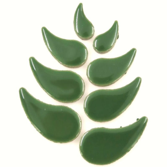 Regendruppel Eucalyptus