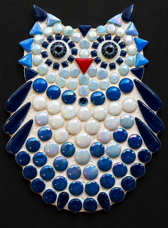 Little Owl Blue