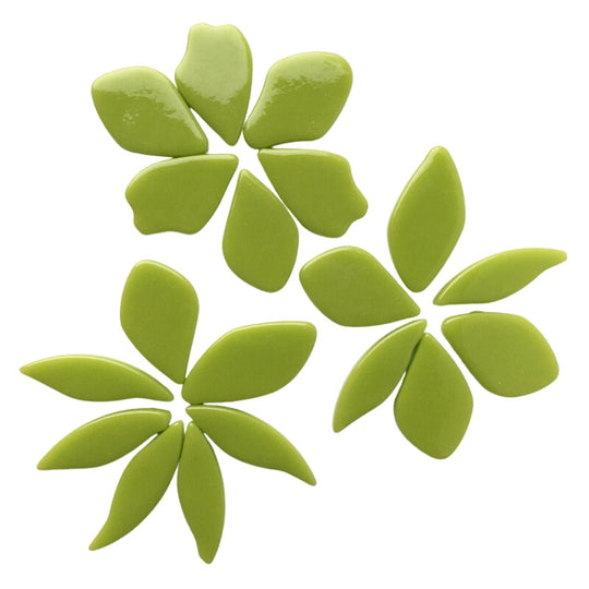 Bloemblaadjes Glas Nieuwgroen