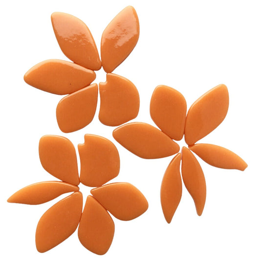 Bloemblaadjes Glas Opaaloranje