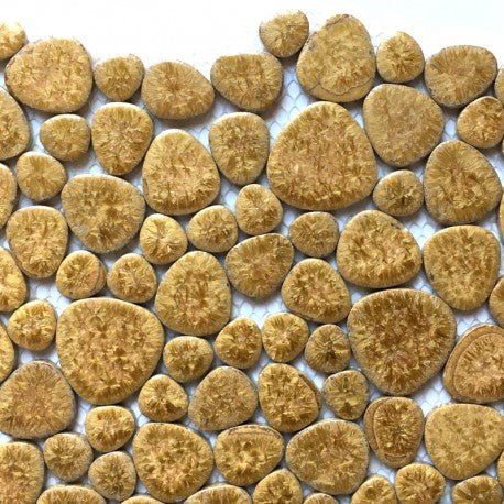 Pebbles  Golden Rock