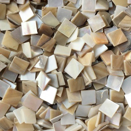 Parelmoer Schelp 10mm