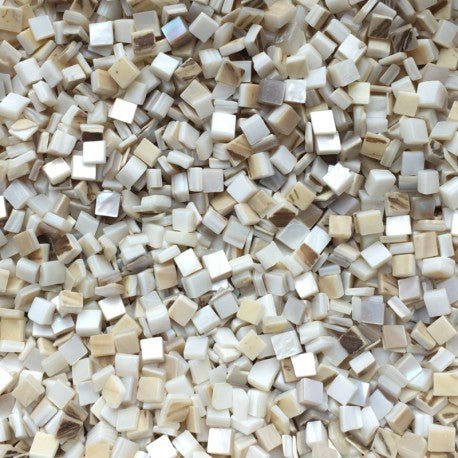 Parelmoer Schelp 5mm