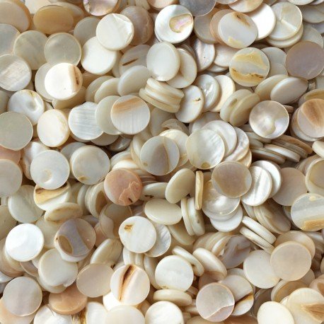 Parelmoer Schelp Rond 10mm